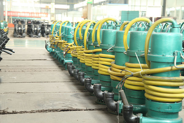 防(fáng)爆潛水(shuǐ)泵