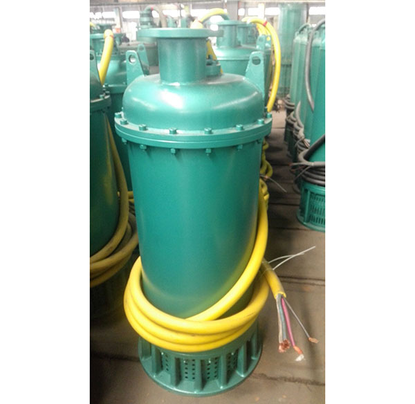 防爆(bao)排污泵(beng) 防爆排(pai)污泵